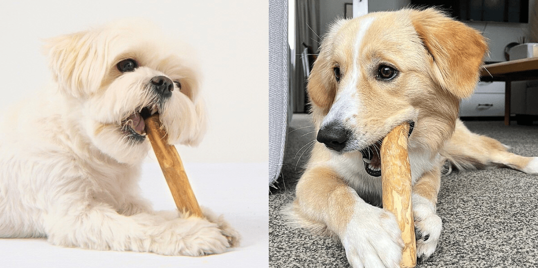 COFFEE WOOD CHEW: THE TOY YOUR PET WILL LOVE - Jacky's Place