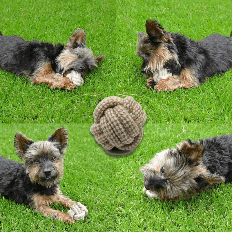 Nachhaltiger Hundeball Baumwolle Jute Spielzeug umweltfreundlich