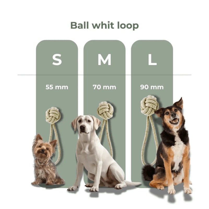 Baumwoll Jute Ball Hundespielzeug Schlaufe nachhaltig robust natürlich