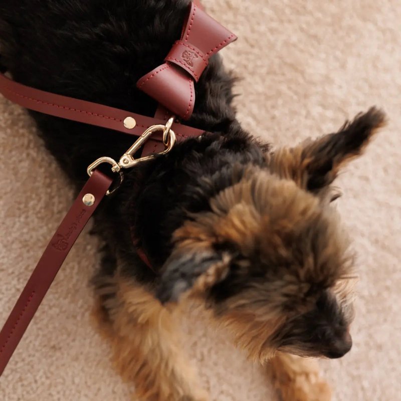 Burgundy red dog leash hundeleine burgundy vegetable tanned leather durable elegant design
