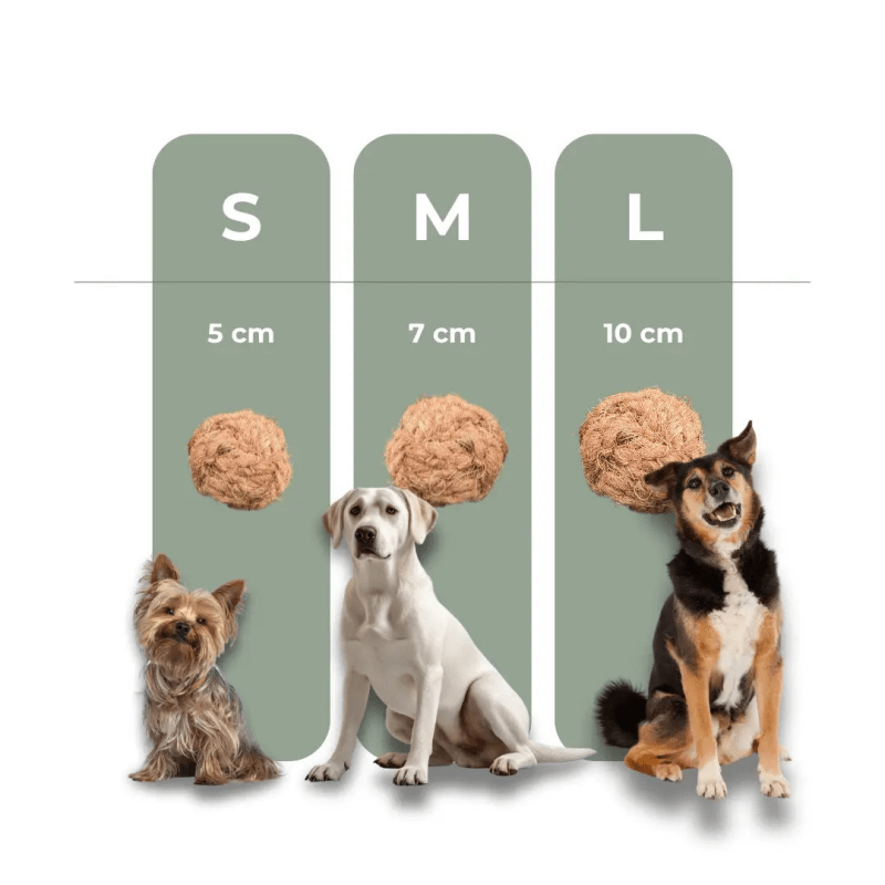 Coconut ball dog toy kokosball vegan teeth cleaning natural chew sustainable