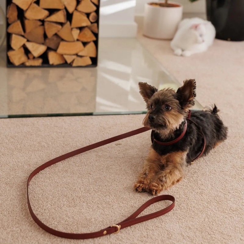 Elegance dog leash burgundy hundeleine burgundy red comfortable stylish sustainable walking