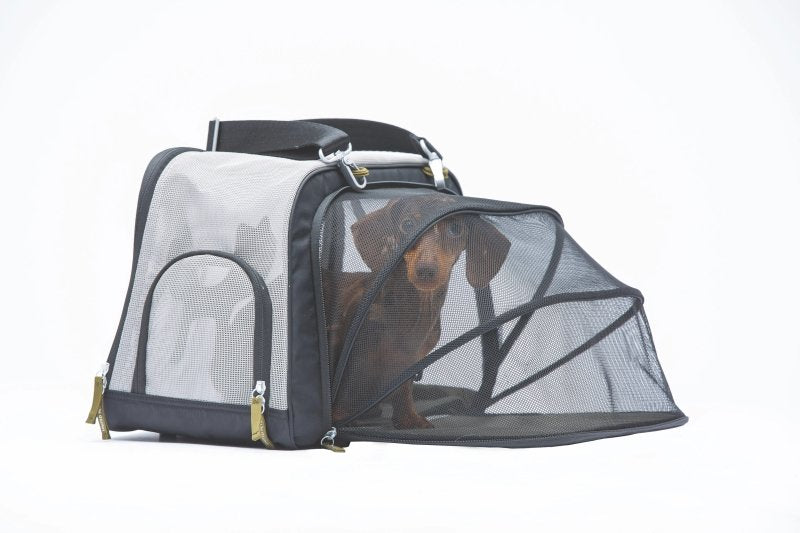 Green dog carrier mesh breathable cabin-suitable eco-friendly sustainable