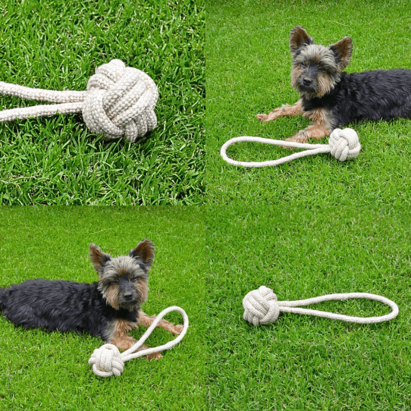 Nachhaltiger Hundeball Cotton Jute Schlaufe Spielzeug umweltfreundlich