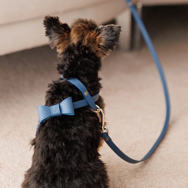 Navy blue dog leash hundeleine navy vegetable tanned leather durable elegant design