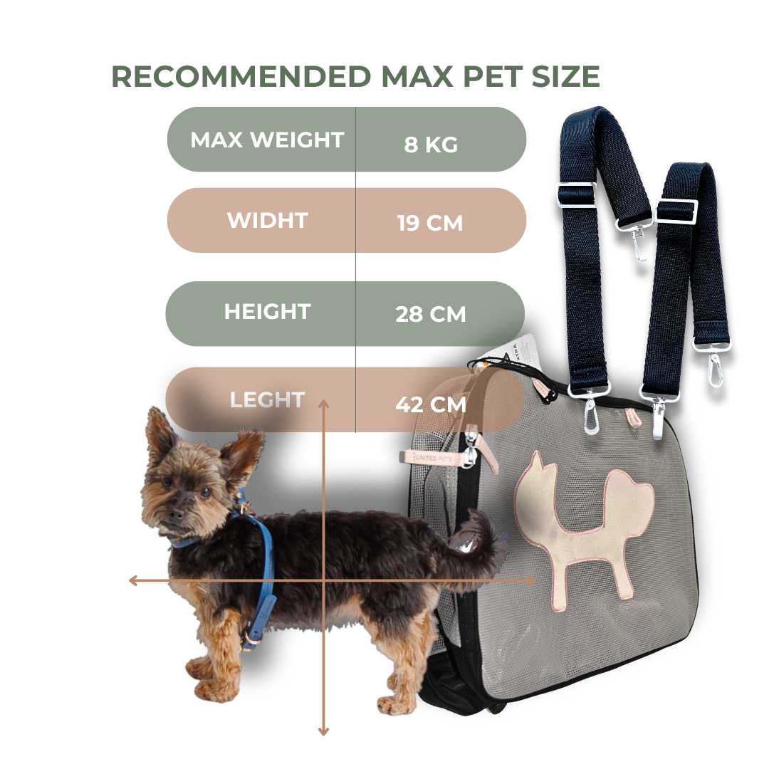 Small dog comfortably sitting in eco-friendly RPET carrier bag, demonstrating airline cabin approved pet travel solution