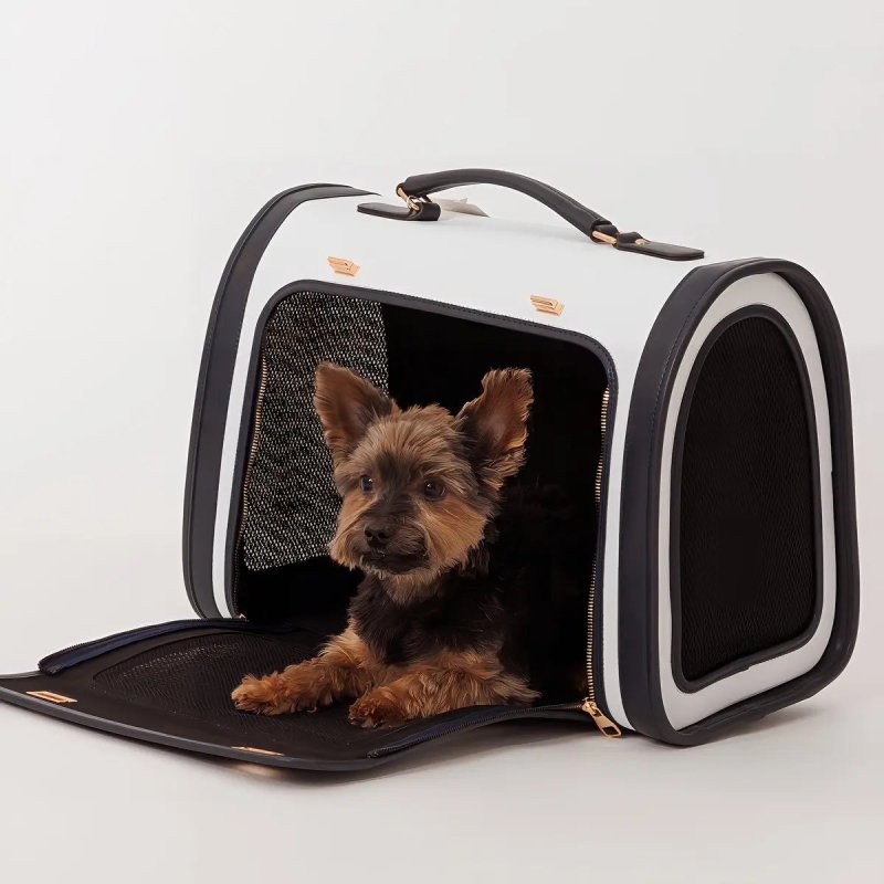 Candy – Bright sapphire - Jacky's Place