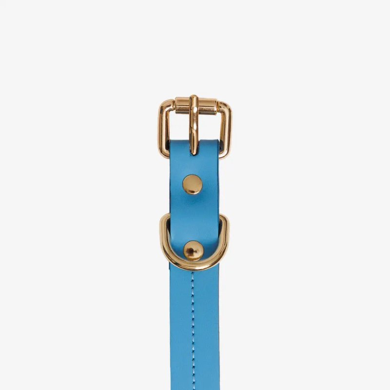 Elegance dog collar – Blue - Jacky's Place