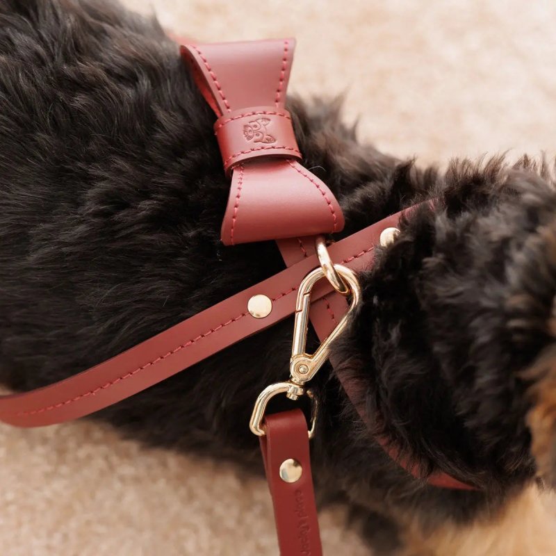 Elegance harness – Burgundy - Jacky's Place