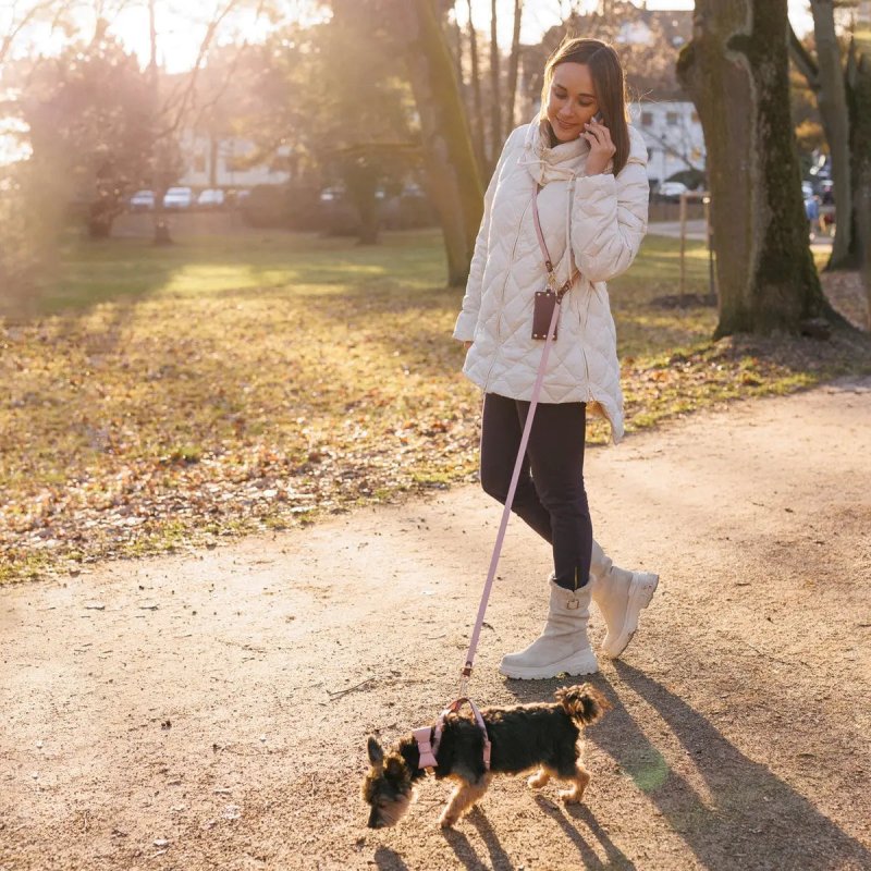 Handsfree Dog Leash Pink - Burgundy - Jacky's Place