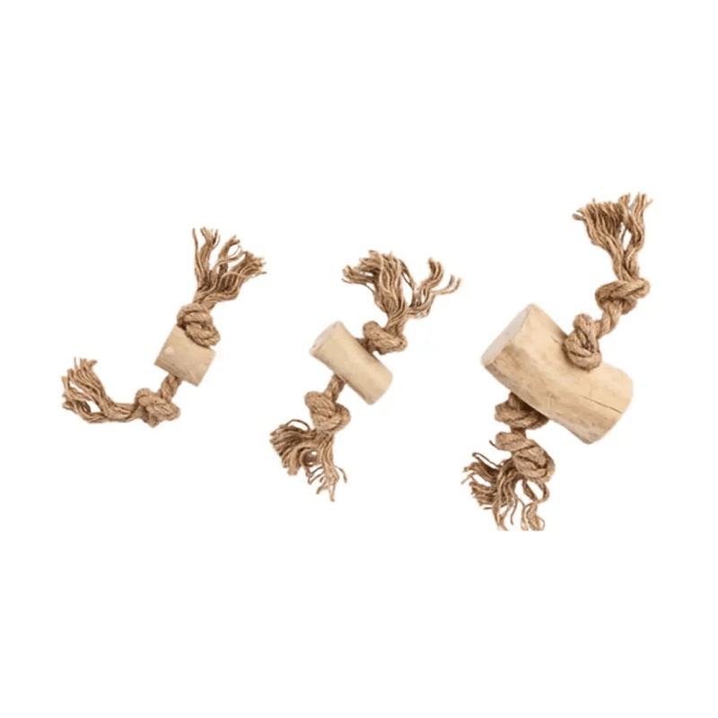 Kaffeeholz Seil Kaustick natürlich biologisch abbaubar Zahnreinigung