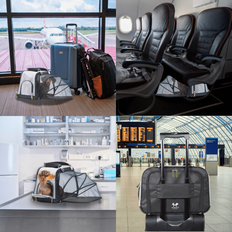 Mesh Pet Carrier Bag XTRA Pink - Sustainable Dog Carrier for Airplane & Car - Jacky's Place