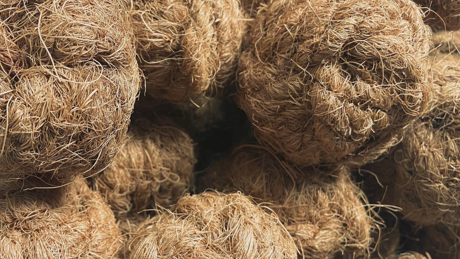 Kokosball Hundespielzeug coconut ball dog toy small medium dogs active play