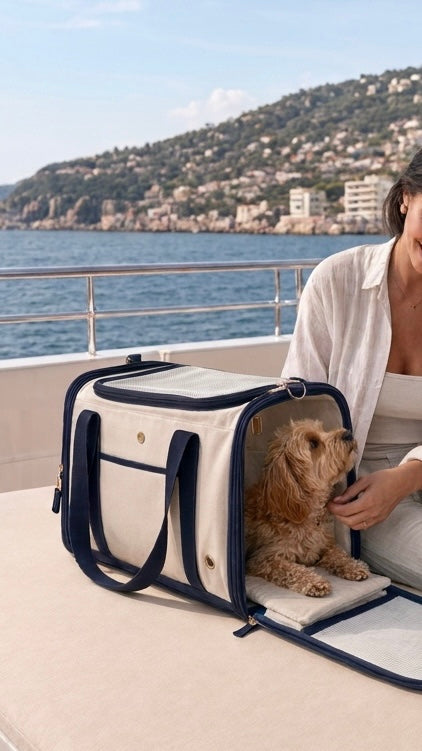 Hund im Hundecarrier auf einem Boot