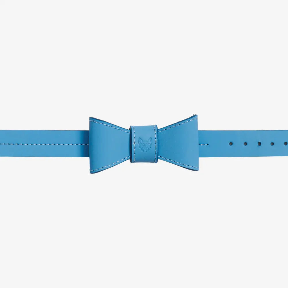 Dog collar with bow tie – Blue Jacky's Place