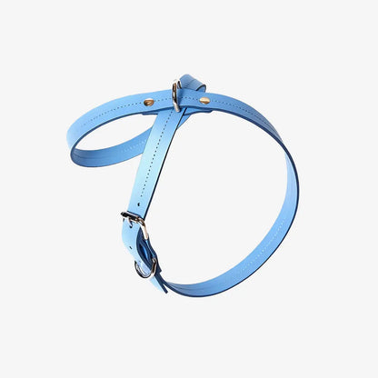 Elegance harness – Blue Jacky's Place