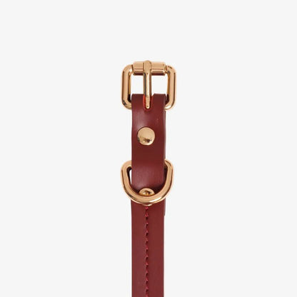 Elegance dog collar burgundy hundehalsband burgundy red comfortable stylish sustainable wear