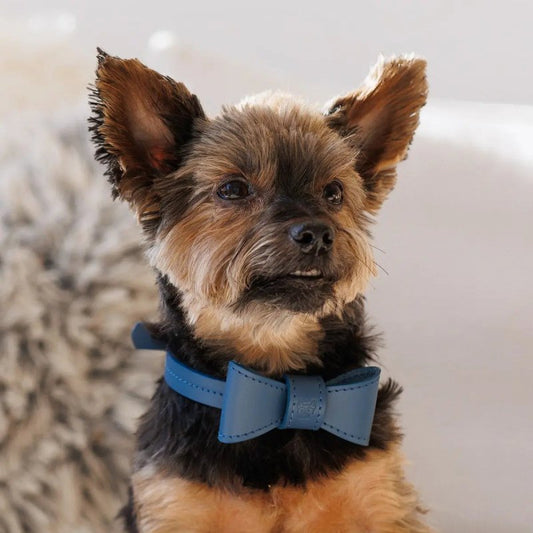 Elegance dog collar navy hundehalsband navy blue comfortable stylish sustainable wear