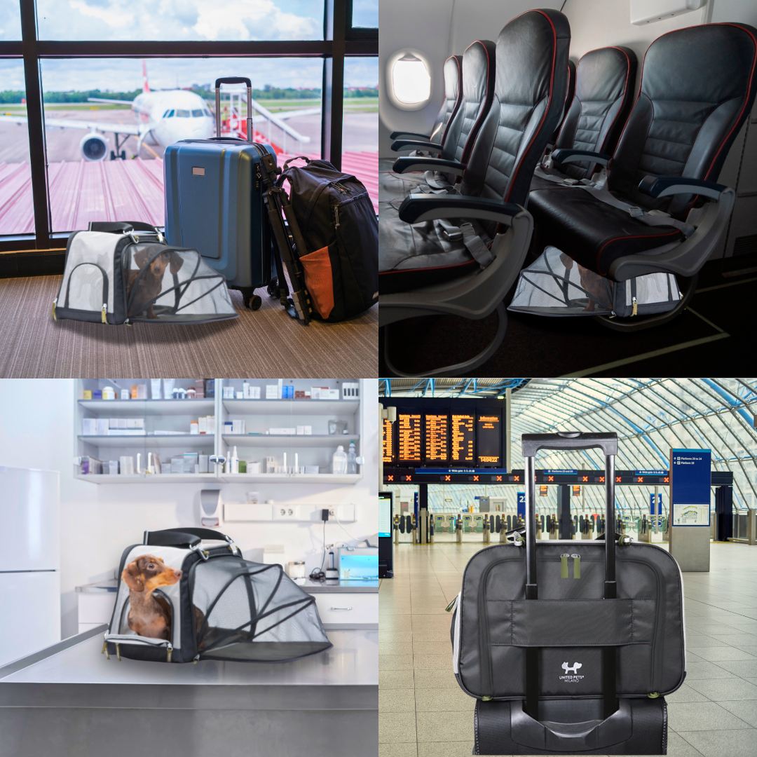 Green sustainable pet travel bag crafted from RPET material, perfect for eco-conscious dog owners who travel by plane