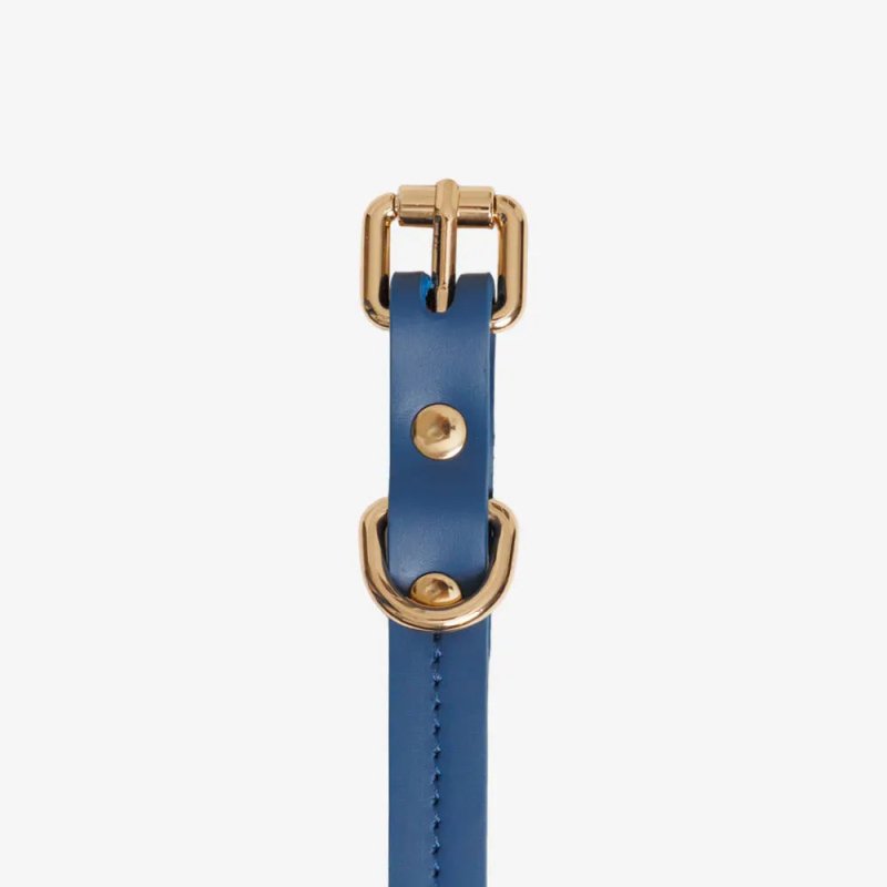 Hundehalsband navy buckle dog collar navy blue secure closure premium leather susta