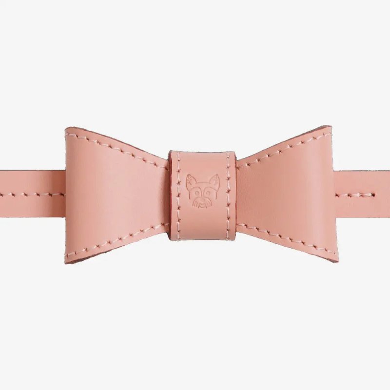 Hundehalsband pink buckle dog collar pink secure closure premium leather sustainable