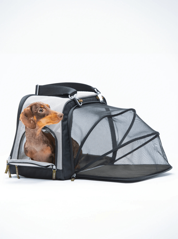 Mesh dog travel bag green sustainable travel cabin-approved durable