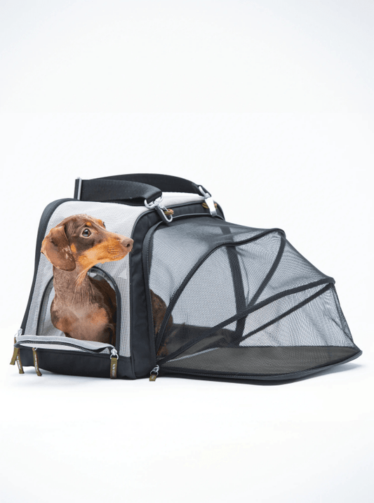 Mesh dog travel bag green sustainable travel cabin-approved durable