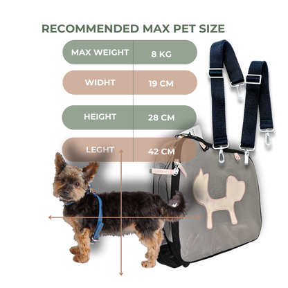 Small dog comfortably sitting in eco-friendly RPET carrier bag, demonstrating airline cabin approved pet travel solution