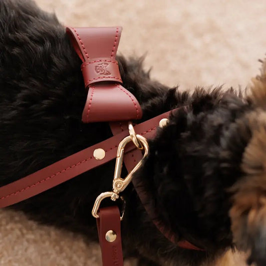 Bow tie for dog – Burgundy - Jacky's Place
