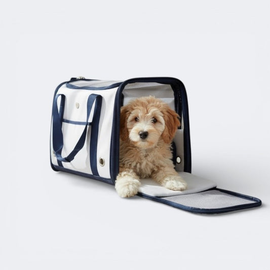 Canvas Dog Carrier Airline Approved | Eco - Friendly up to 8kg - Jacky's Place