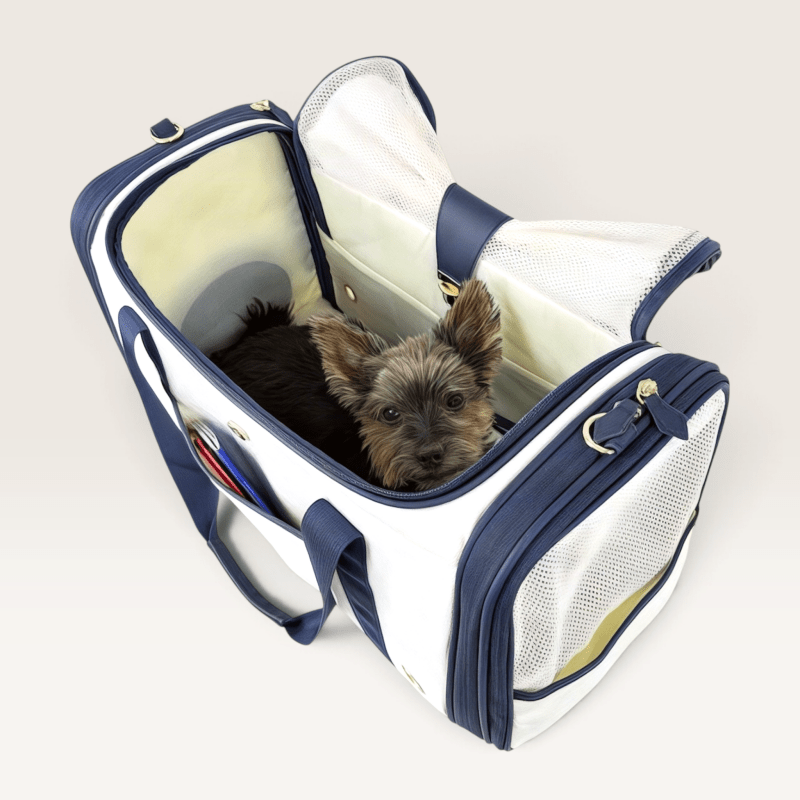 Canvas Dog Travel Carrier - Jacky's Place