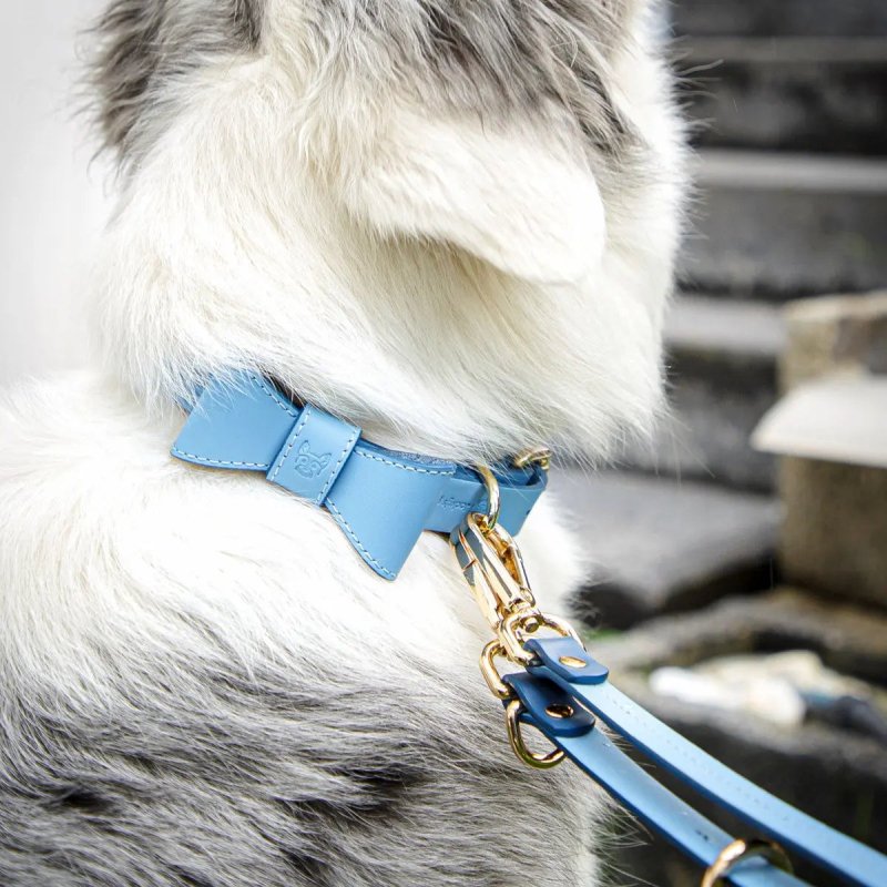 Elegance dog collar – Blue - Jacky's Place