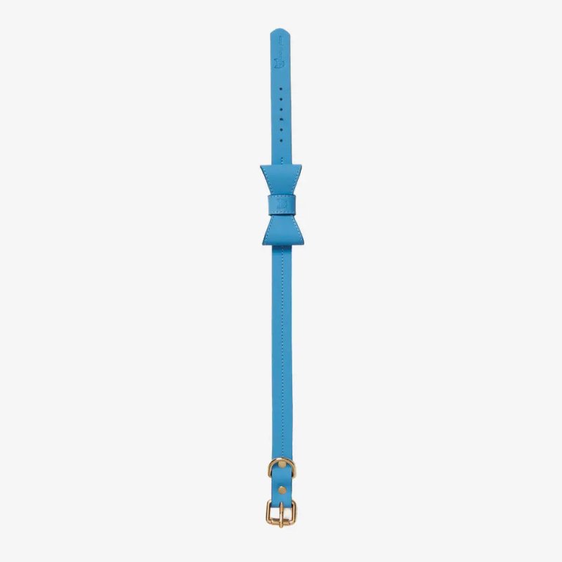 Elegance dog collar – Blue - Jacky's Place