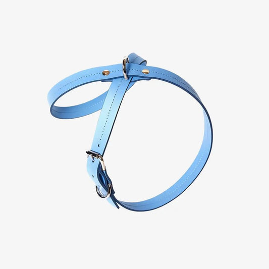 Elegance dog harness – Blue - Jacky's Place