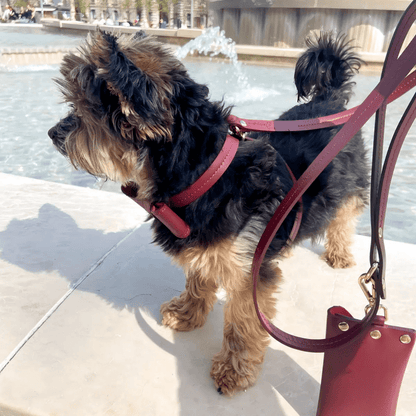 Mini bag - Burgundy - Jacky's Place